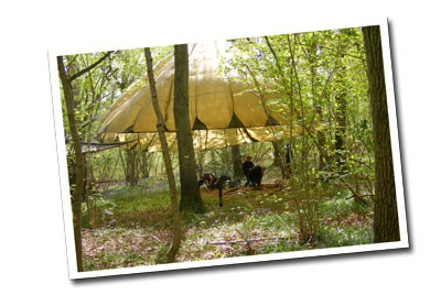 bushcraft basecamp